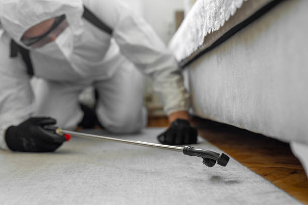 Professional Ant Control technician working in Evanston, IL