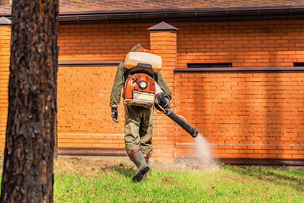 Top rated local Wasp Removal specialists in Evanston, IL